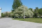 ven-baly (267).jpg